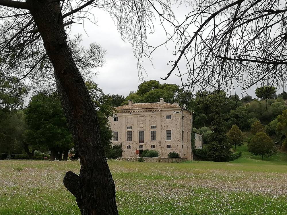 chateau extérieur