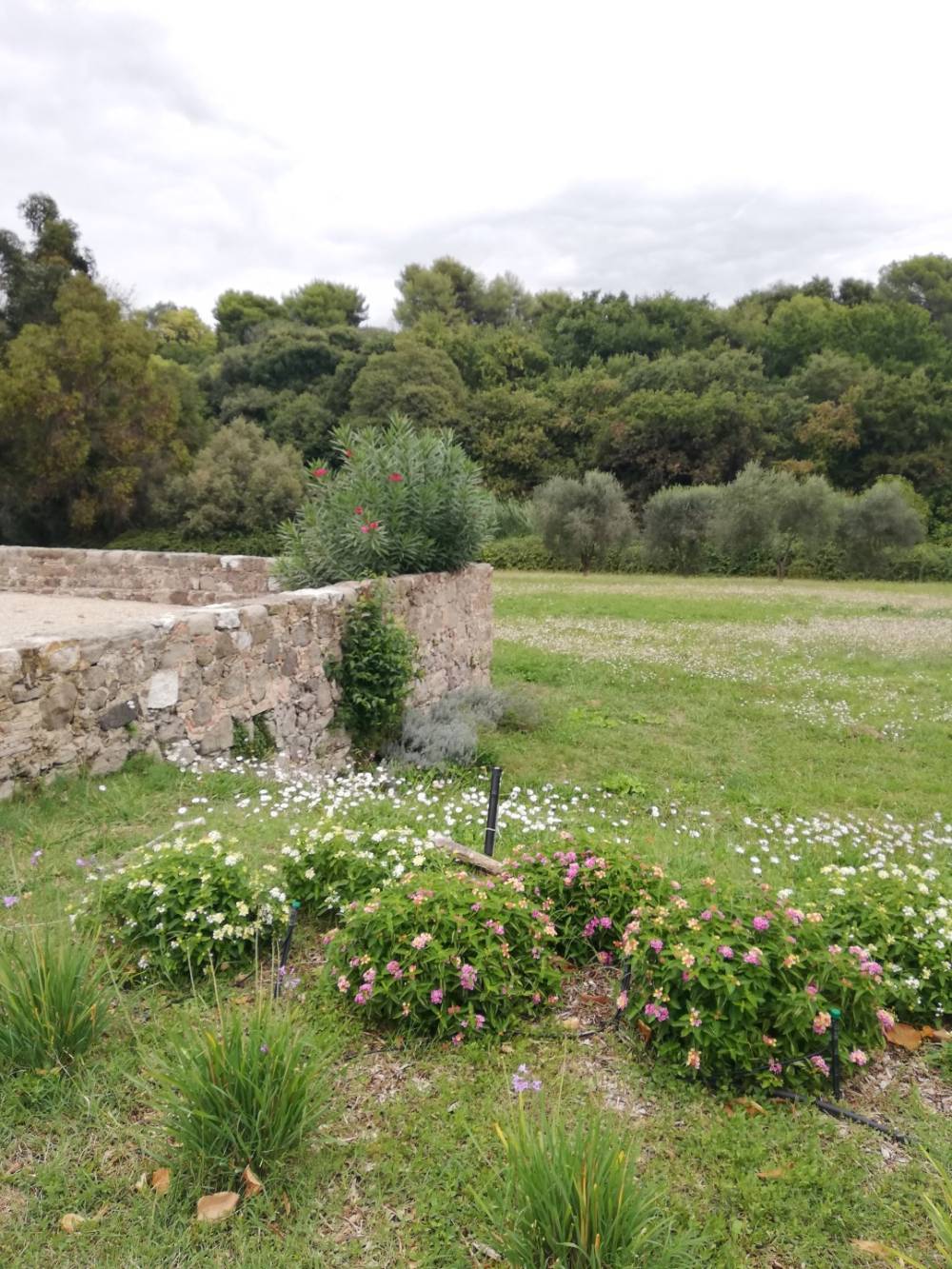 terrain chateau exterieur
